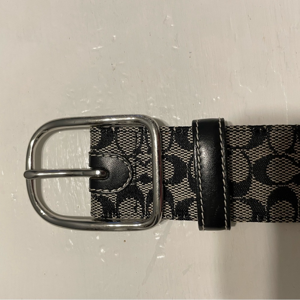 Coach belt